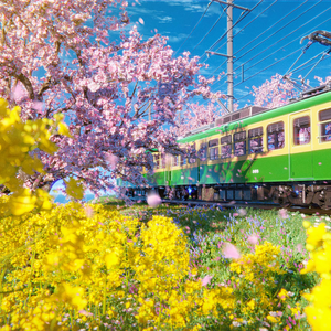 第一缕阳光（古筝）