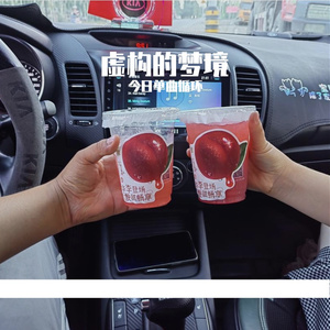 虚构的梦境