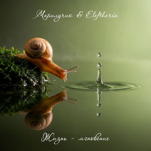 Жизнь – мгновение