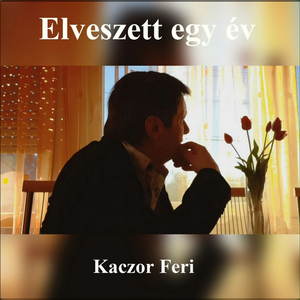 Elveszett egy év