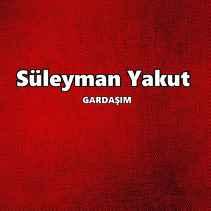 GARDAŞIM