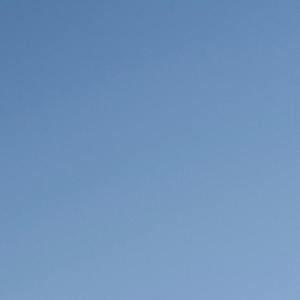 浪漫主义（CYyyy remix）