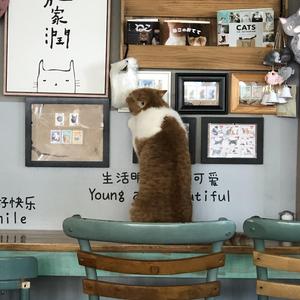 寻（翻自 枭季）