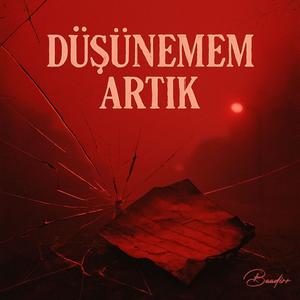 DÜŞÜNEMEM ARTIK