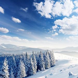 等待有你的冬天（烟嗓版）