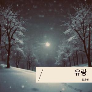 그는 방황하러 간다고 말했다