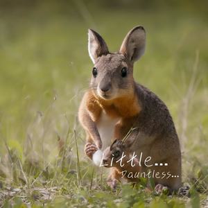 Little Wallaby's Adventure
