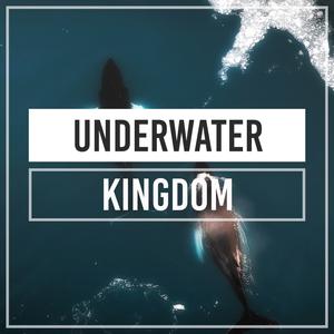 Whale Stories (Original Mix)