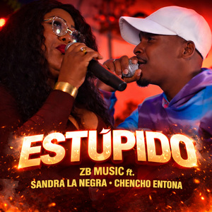 Estupido
