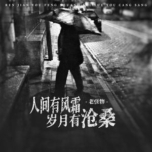 人间有风霜岁月有沧桑