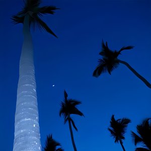 Leave Me Alone（升调版）