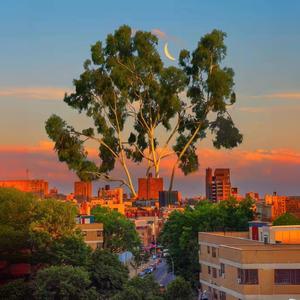 失恋无罪 (DJ版)