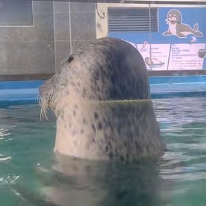 不知道，反正我的身材很曼妙