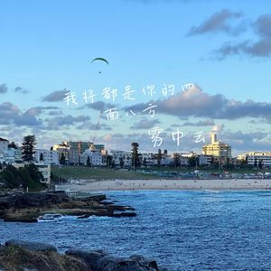 若无回响 必有一伤 (释怀版)