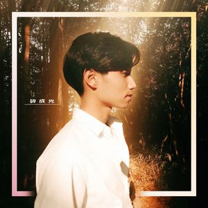 碎成光