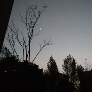 多年以后（翻自 刘惜君）