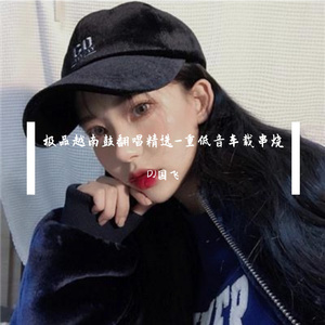 极品越南鼓翻唱精选-重低音车载串烧
