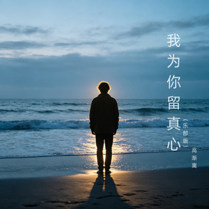 我为你留真心（乐部版）
