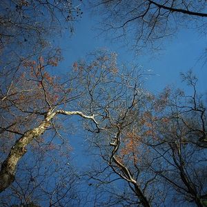 冬语Demo (prod.tired)