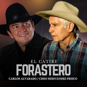 El Catire Forastero