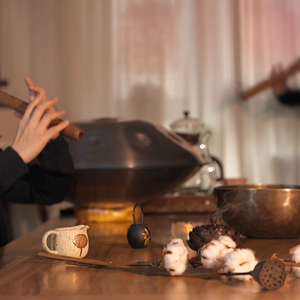 最后的莫西干人