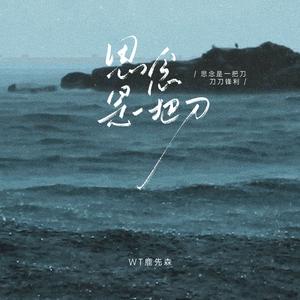 思念是一把刀 (思念是一把刀刀刀锋利)