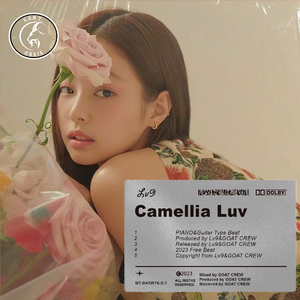 [FREE]山茶花之恋 ❥R&B Guitar Type Beat❥