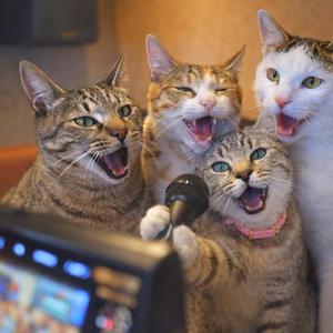 いつまでもずっと