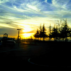 素晴らしい今日よさようなら