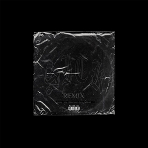 Sick (Remix)