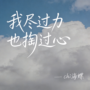 我尽过力也掏过心