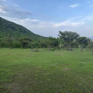 Piensa muy bien las cosas