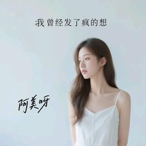 我曾经发了疯的想 (伤感版)