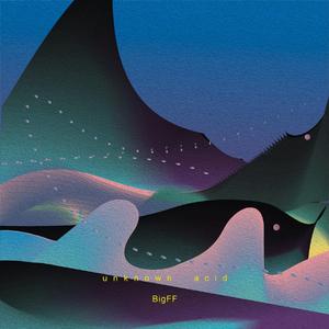 FF - Unknown Acid (Original Mix)