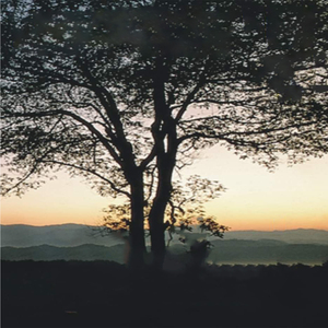 ສຸດທີ່ຮັກ (สุดที่ฮัก)