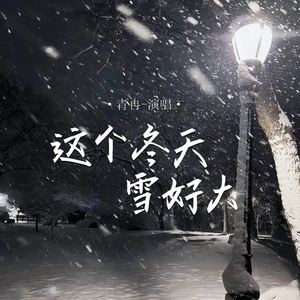 这个冬天雪好大