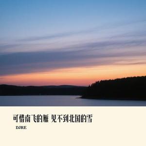 可惜南飞的雁 见不到北国的雪