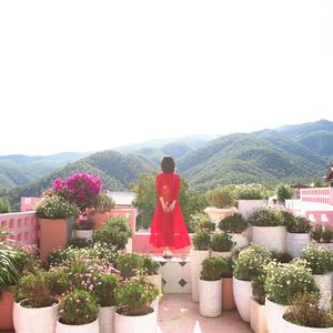 一对对鸳鸯水上漂