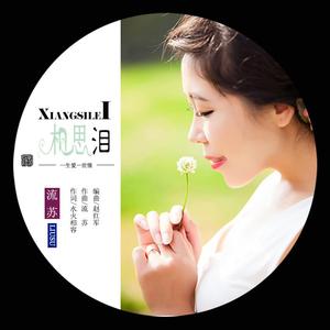 相思泪（对唱）