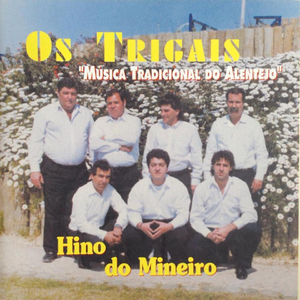 Já Não Ouço os Passarinhos