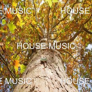 HOUSE MUSIC 1
