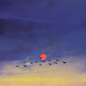 梦里的你(梦里的梦梦里的你) 金钰双双