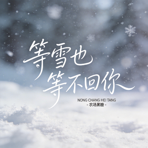 等雪也等不回你（原版）