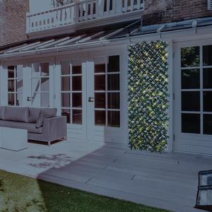 I Wish You Had One Of Those Fence Things With The Vines That Go Up It On The Side Of Your House