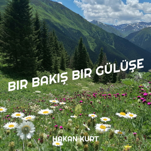 Bir Bakış Bir Gülüşe