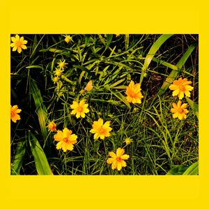 call you/打电话给她（prod.Alan Wu Beatz）