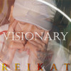 reikat - Visionary