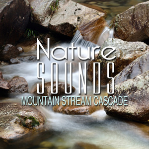 Mountain Stream Cascade