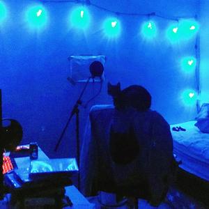 Notification (Interlude)