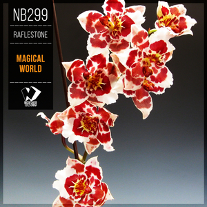 Airborn (Original Mix)